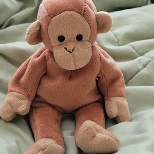 Ty pongo the monkey